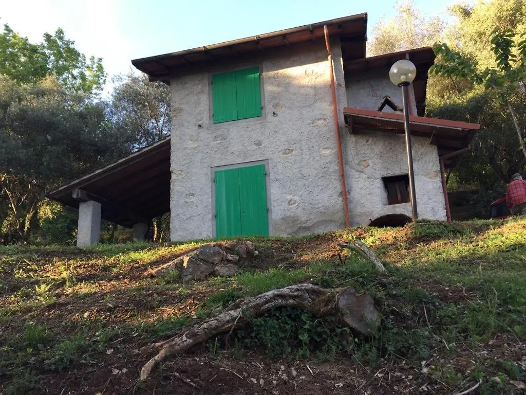 Casa Oliveto Villa Camaiore Holiday home